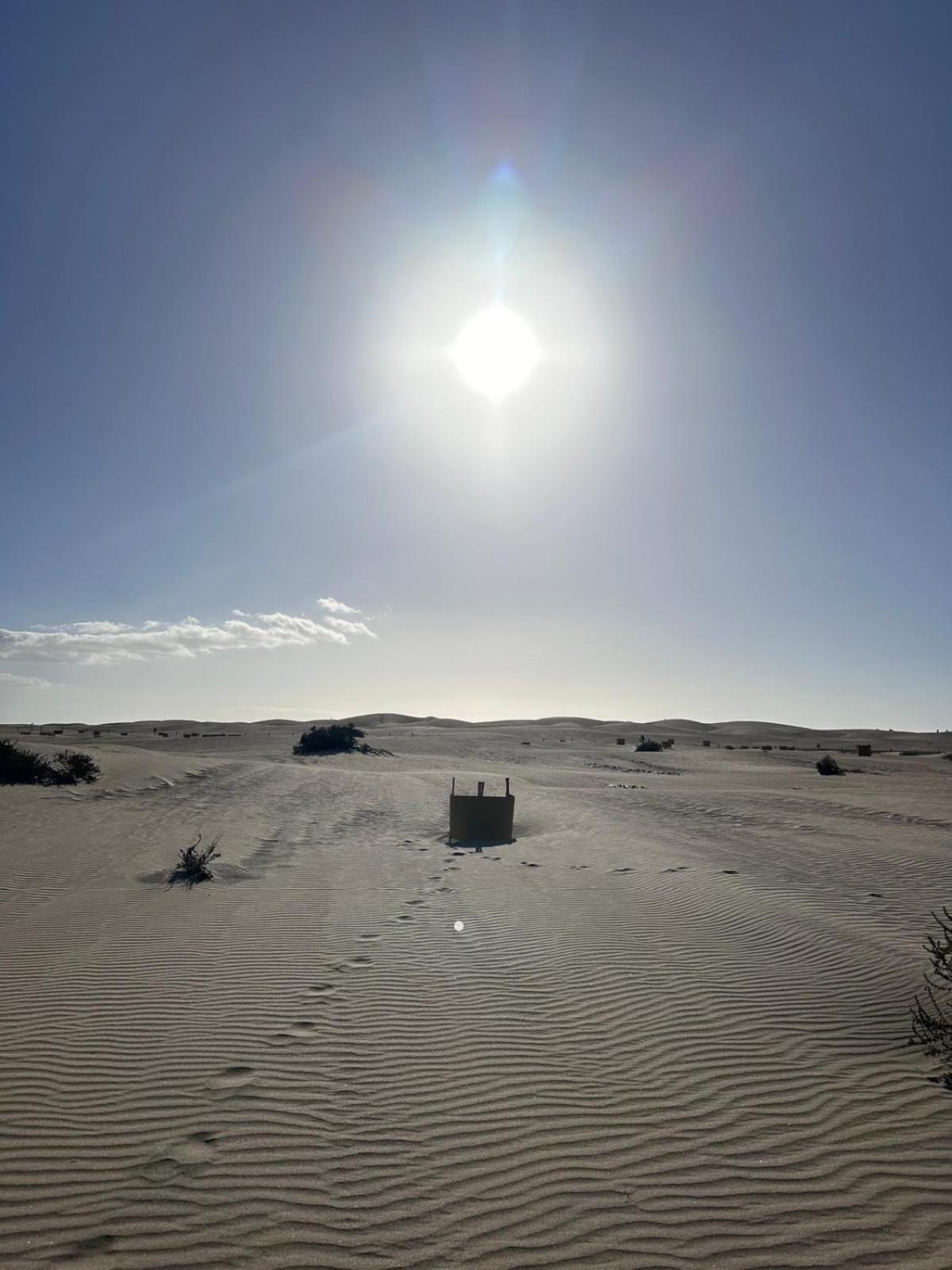Bungalow Oasis Canaria Maspalomas  Bagian luar foto